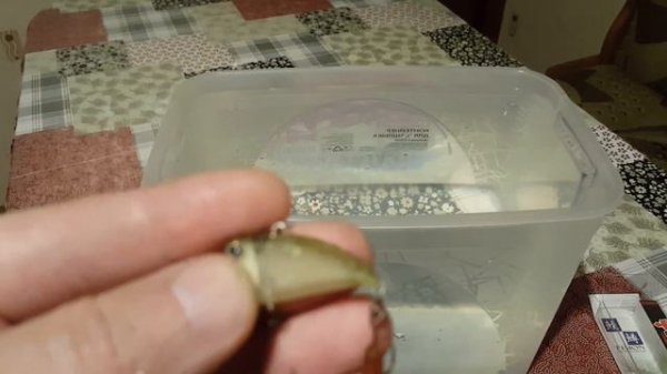 Видеообзор мини раттлина Jackall Timon Tap Dancer специально по заказу Fmagazin.ru