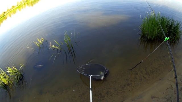 Попал на бешеный клев леща на Десне, клев как из пулемета. смотреть онлайн