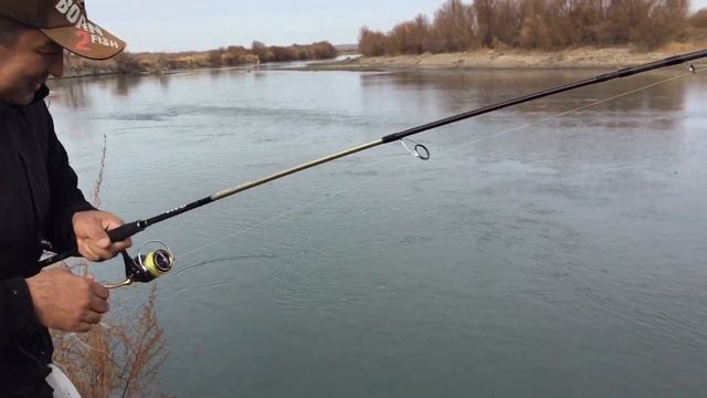 ВЫХОД ЖЕРЕХА на р. Каратал, осенний жерех, рыбалка на Каратале, ищем жереха, Моя рыбалка смотреть онлайн
