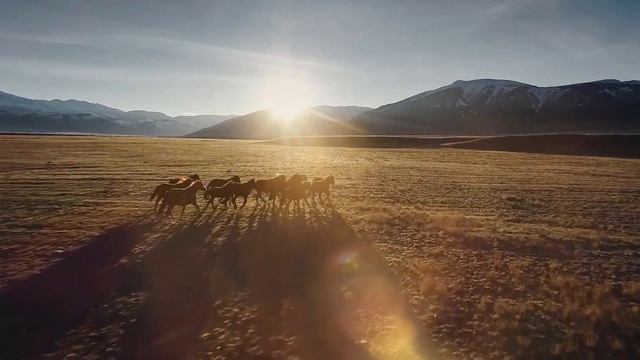 Стихотворение "Слепой пытается увидеть..." смотреть онлайн