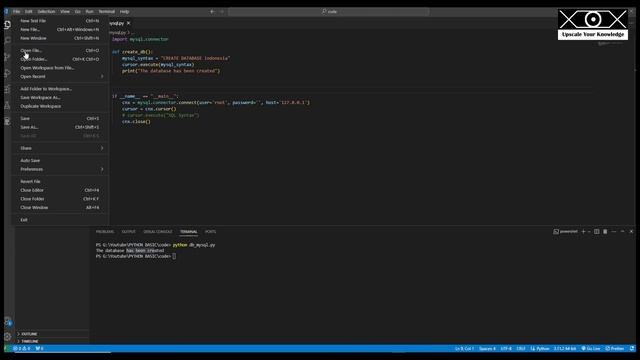Python-MySQL, Create, Read and Delete Database #1 смотреть онлайн