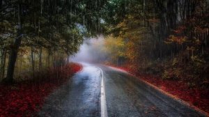 Расслабляющий дождь чтобы уснуть за 5 минут. Дождь и гроза на террасе в туманном лесу