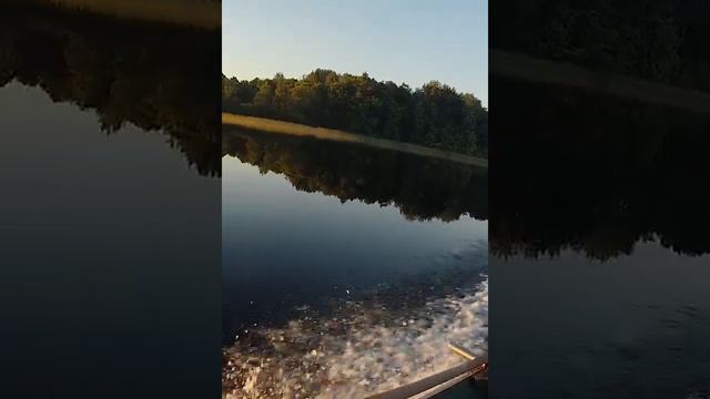 А мы на лодочке катались золотисто-золотой. #селигер #рыбалка #троллинг смотреть онлайн