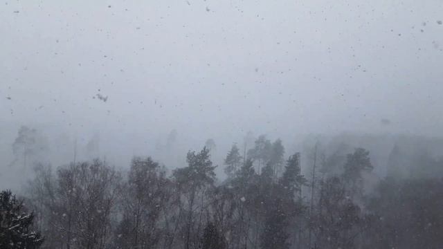 Forest Of Russia  Горки -  10. Успенское Подмосковье.....А снег идет, идет......