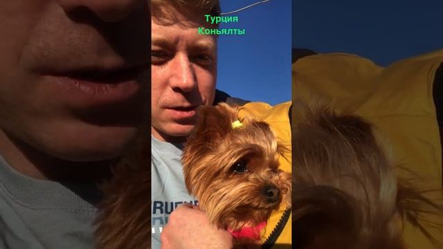 Турция.Набережная Коньяалты.Анталия.Прогулка с собачкой по набережной Коньяалты.