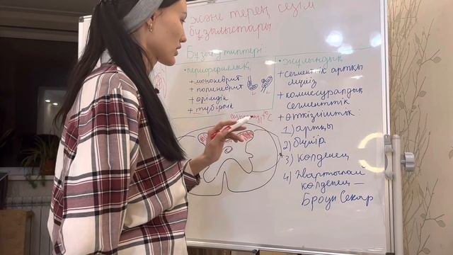 Неврология - 1 сабақ /Беткей және меншікті сезімталдылықтың бұзылыстары смотреть онлайн