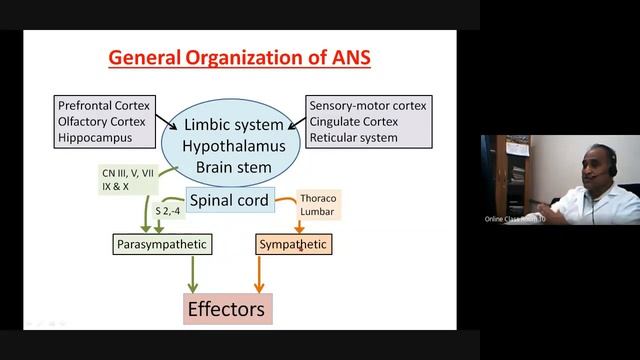 Autonomic Nervous System: General considerations- by SB Deshpande смотреть онлайн