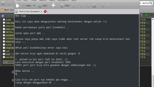 BackConnect Shell смотреть онлайн