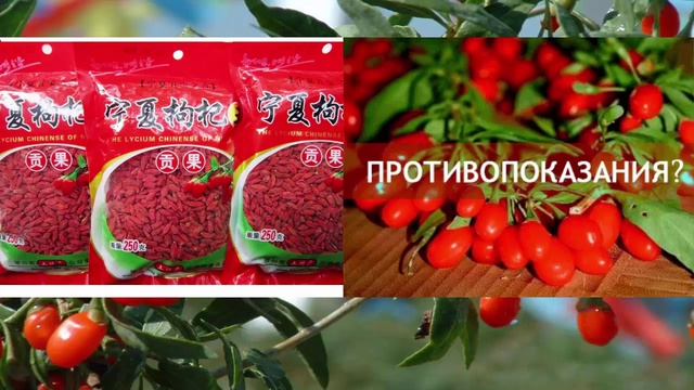 Где купить ягоды годжи смотреть онлайн