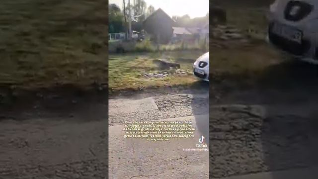 Visoko mjesto krunisanja bosanskih kraljeva Mili смотреть онлайн