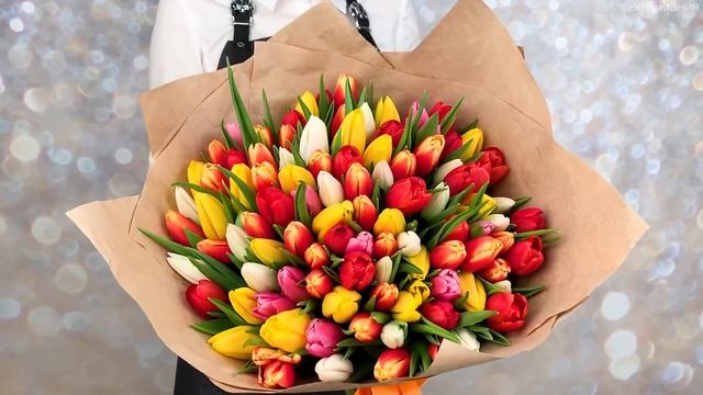 Обзор букета "101 тюльпан микс в упаковке" смотреть онлайн