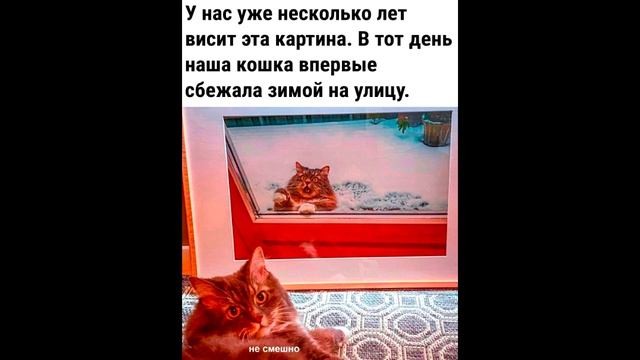 ПКБ благотворители смотреть онлайн