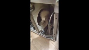 Гул (шум) холодильника LG