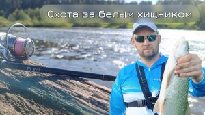 Рыбалка_на_реке_Поиск_белого_хищника