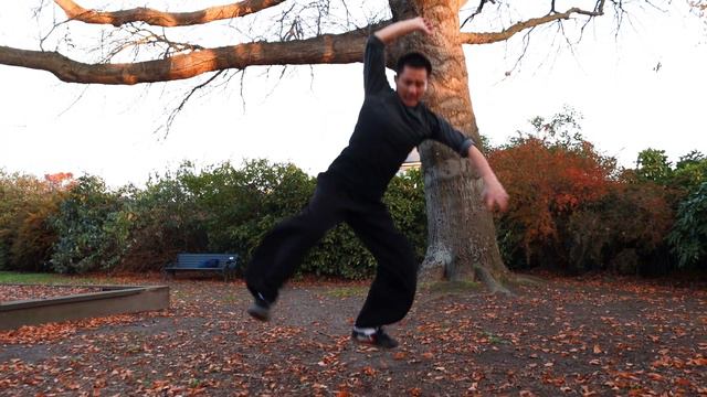 Shaolin Kung Fu Wushu Tiger Style Training - Powerful Tiger смотреть онлайн