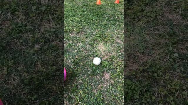 JSUHPEatHome Activity Bucket Ball смотреть онлайн