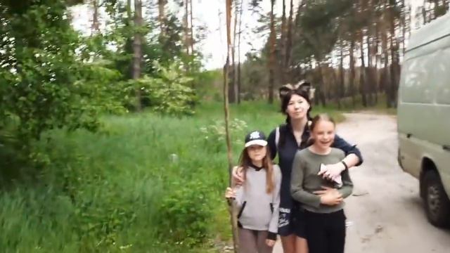 //В нашем лесу встретили девушку лесу и гнома//Драйвер Меню и лебеди// смотреть онлайн