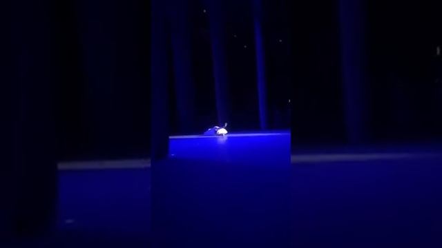 Anna Tikhomirova in The Dying Swan смотреть онлайн
