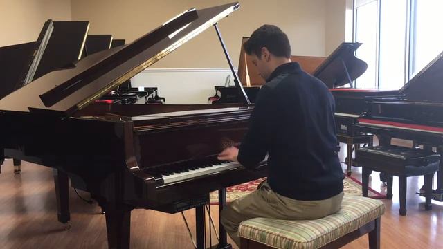 Bluthner Grand Piano смотреть онлайн