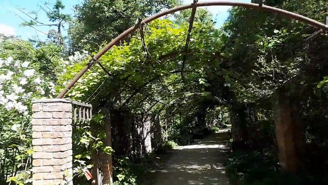 Отдых выходного дня. Аптекарский огород. Видео - 4. смотреть онлайн