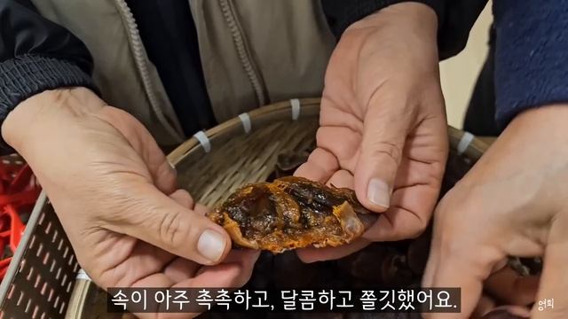 SUB)시골생활?| 콩찰떡 만들고, 곶감 맛보기, 시금치 수확해서 오색비빔밥 만들어 먹기, 눈오리 смотреть онлайн
