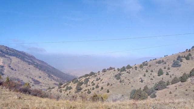 Путешествие На Плато Сильбели! Природа 4К. Kazakhstan. Сайрам-Угамский Нац.Парк.Казахстан!ПОДПИШИСЬ смотреть онлайн