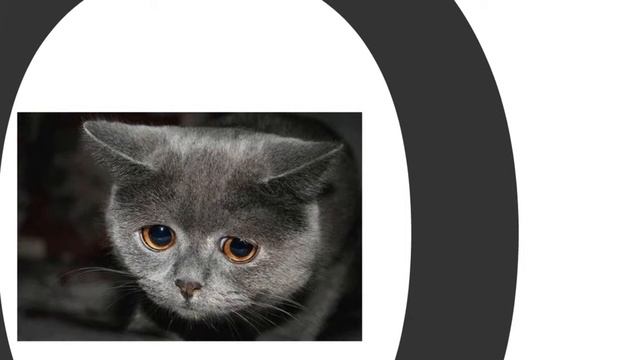 Как Легко сделать Сайт или Блог?? смотреть онлайн