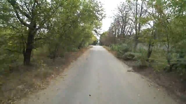 #12 25000км пути и ДОМОЙ[аж на сутки] | ПРОБЛЕМЫ С КОЛЁСАМИ | ДАЛЬНОБОЙ УКРАИНА смотреть онлайн