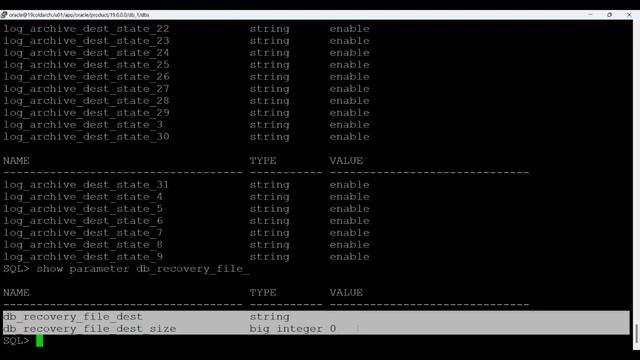 Free-Oracle-19c-Old-Arch-DBA-Workshop-L16-Morning-Session смотреть онлайн