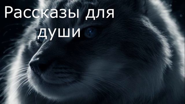 ? Трёх дочерей ждал большой сюрприз... смотреть онлайн