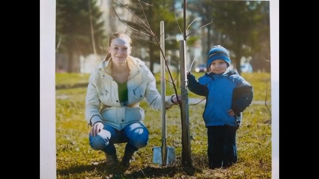 ТЕМАТИЧЕСКИЕ КАРТИНКИ ПО ТЕМЕ ПОСАДИ ДЕРЕВО