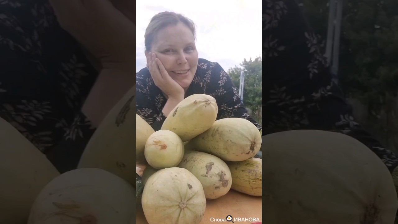 #кабачки #кабачкирецепты  #готовимдома #еда #заморозкаовощей