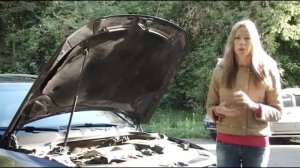 Volkswagen Passat B6, 2006