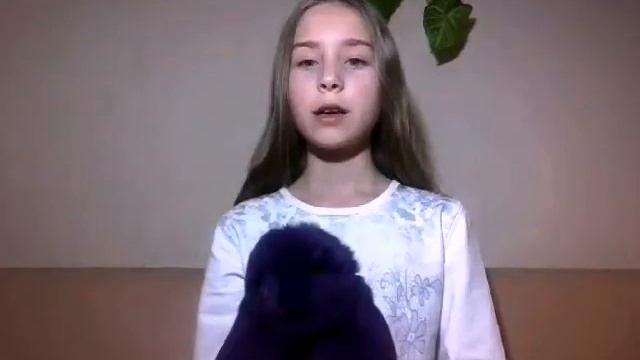 Моя любимая игрушка ? смотреть онлайн