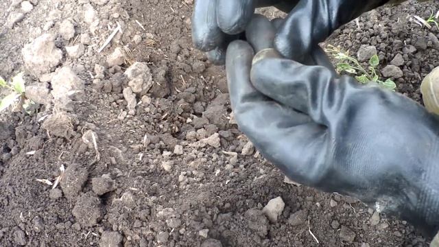 МУЖИК НЕ ОБМАНУЛ ! ПОИСК ЗОЛОТА НА СТАРОМ УРОЧИЩЕ! смотреть онлайн