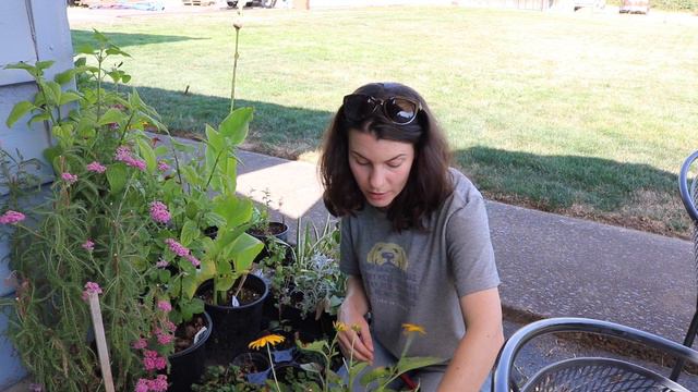 Container Garden Clean Up смотреть онлайн