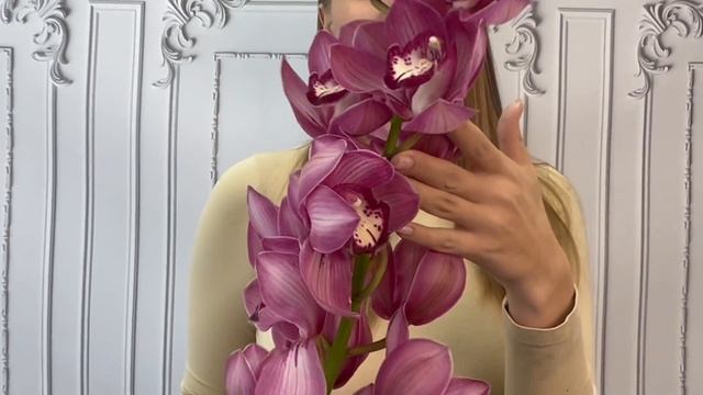 Купить орхидею #5 на FlowBeri ru смотреть онлайн