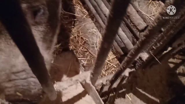 Пол Дня В Одном Видео,!!Перевели Огромную Сумму На Камеру!! смотреть онлайн