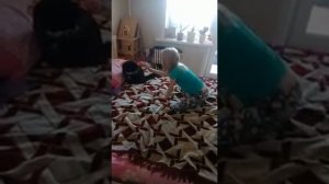 БЛОГЕР И КОТ БЕСЯТСЯ НА КРОВАТИ.