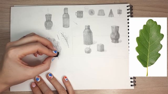 Рисование природных форм через силуэт Урок 6 смотреть онлайн