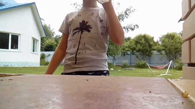 влог жизнь с собакой #7 смотреть онлайн