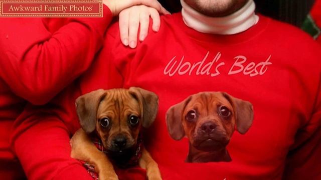 Awkward Family Photos: 15 Strange Matching Outfits смотреть онлайн