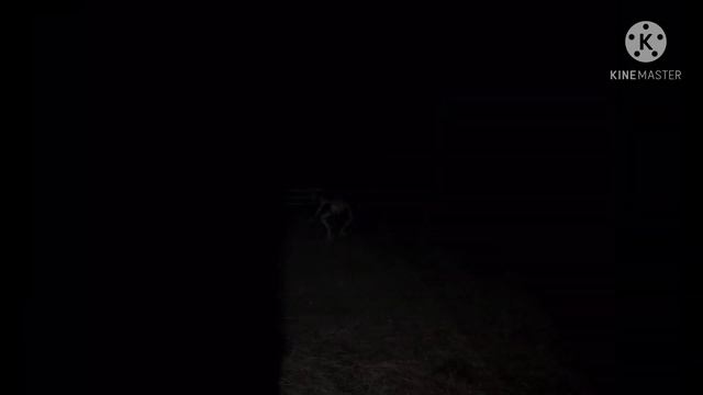 Unnerving Images with Minecraft Cave Sounds (Extra II) (Reupload) смотреть онлайн