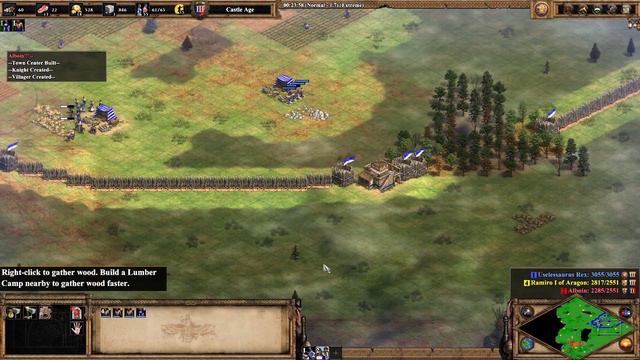 Beat the AOE2 DE Extreme AI - 2v1 смотреть онлайн