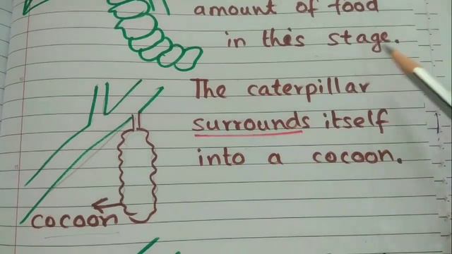 How to teach simple present tense using animals fact. смотреть онлайн