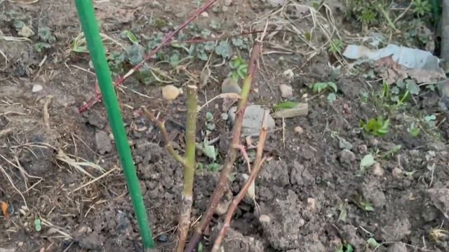 Отмечаем Пасху на даче ?Куча дел на даче?? смотреть онлайн