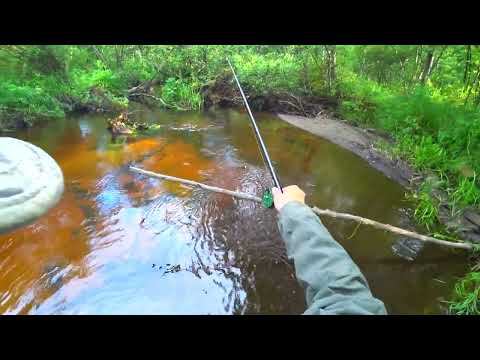 С другом на рыбалке. Розыгрыш небольшого подарка от нас смотреть онлайн