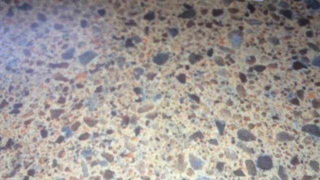 Look how TERRO Ant killer work ... смотреть онлайн