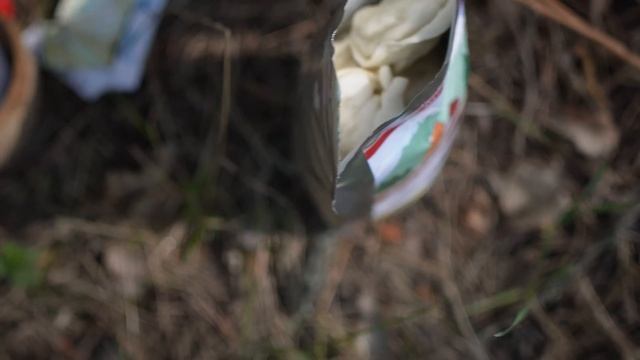 Новые сублиматы: Лиса Кормит смотреть онлайн