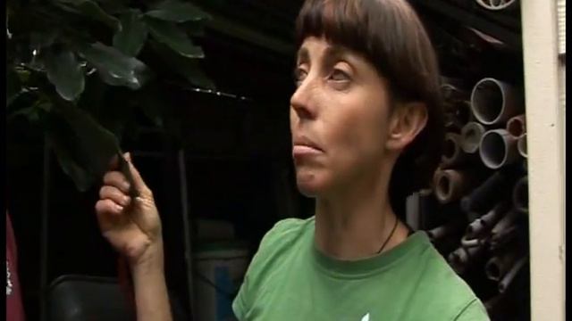 Karen Sutherland garden tour with Vasili's Garden TV Show смотреть онлайн